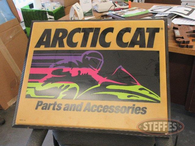  Arctic Cat _0.jpg